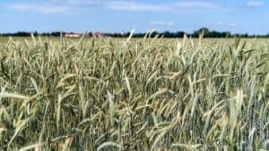 TS EAMCET 2023: Great registration begins on 3 March TS EAMCET 2023: Great registration begins on 3 March