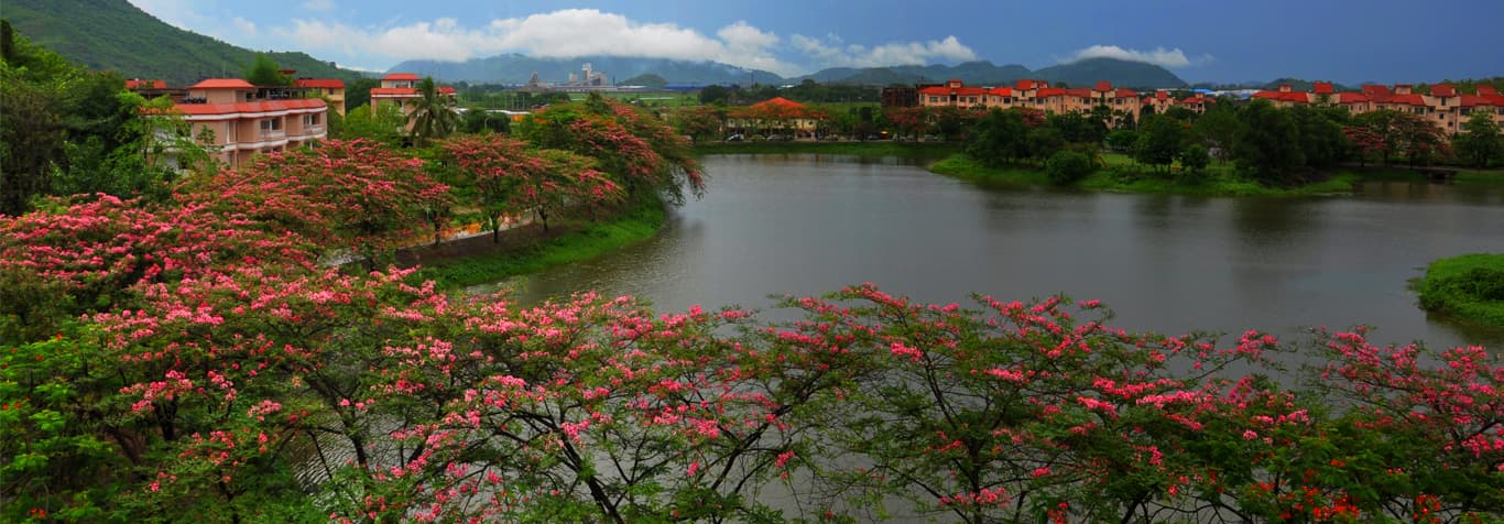 JEE Advanced 2023 results out, most toppers from IIT Hyd zone JEE Advanced 2023 results out, most toppers from IIT Hyd zone