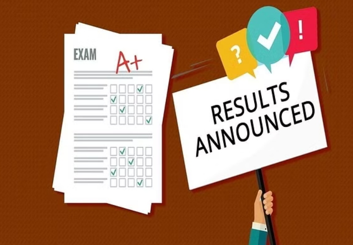 Rajasthan Pre-DElEd Result 2024: Detailed Insights Rajasthan Pre-DElEd Result 2024: Detailed Insights