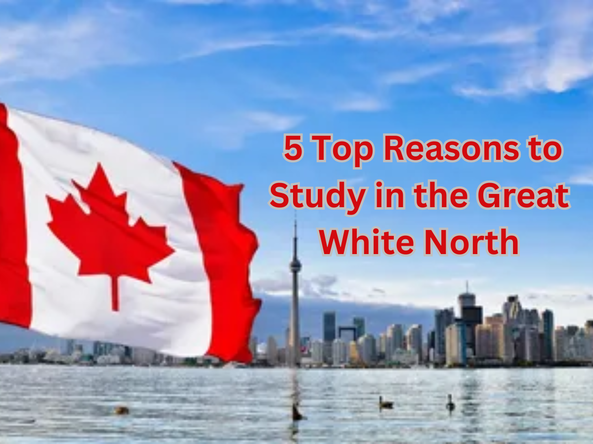 Why 427,000+ Indians Chose Canada: 5 Top Reasons to Study in the Great White North Why 427,000+ Indians Chose Canada: 5 Top Reasons to Study in the Great White North