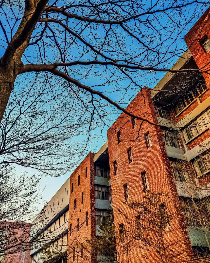 Chandigarh University