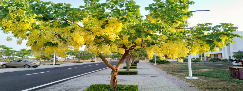 IISER Bhopal