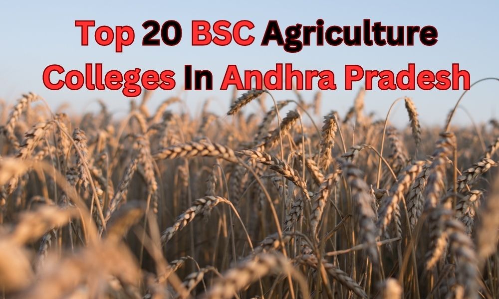 Top 20 BSC Agriculture Colleges In Andhra Pradesh College Chalo