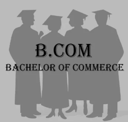Bachelor Of Commerce (b.com)