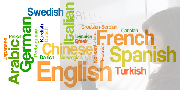 Diploma In Foreign Languages