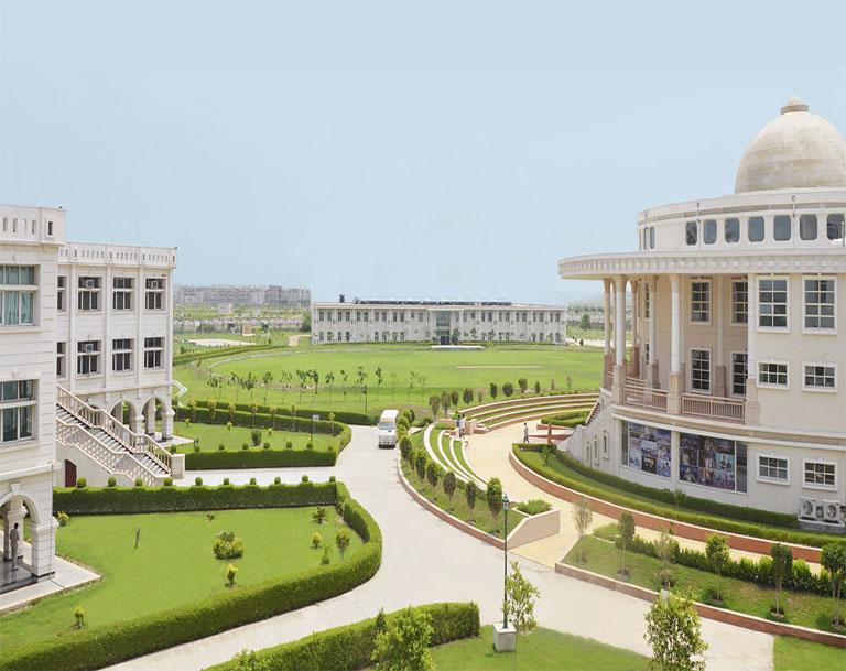 Noida International University( NIU)