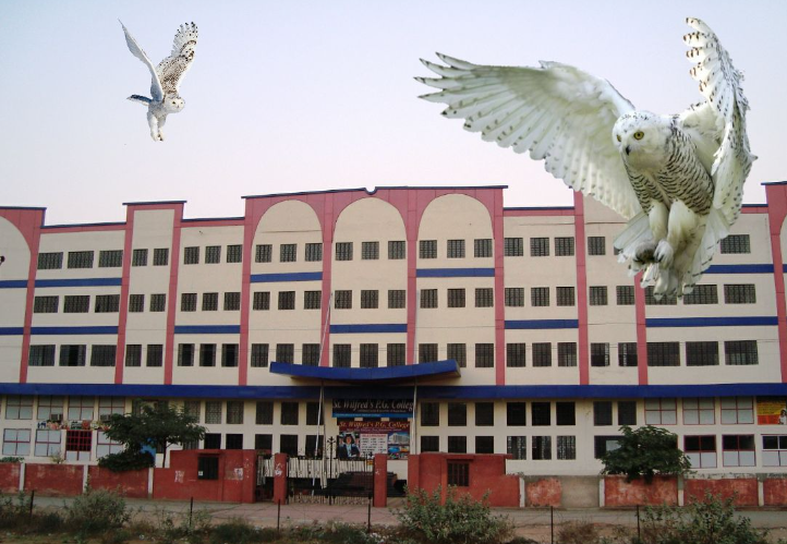 Wilfred's PG College Jaipur