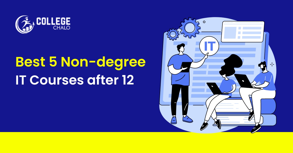 Top 5 Non-Degree IT Courses After 12 - College Chalo