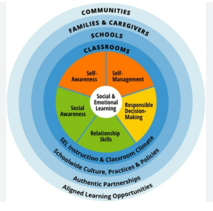Social Emotional Learning (SEL) in Education: Benefits, Implementation, Success Stories
