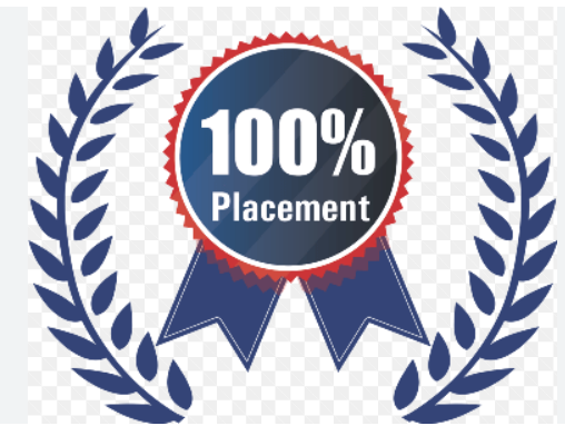 Mnnit Records 100% Placements