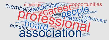 Join Professional Associations And Groups
