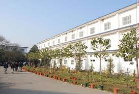 Amrapali Institute Of Hotel Management, Haldwani