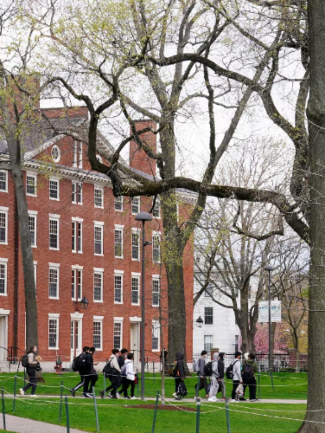 Harvard Education: 200 + Free Online Courses