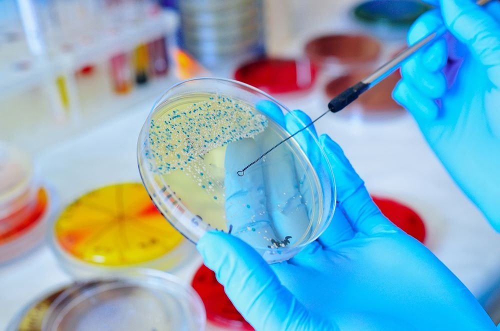 Career Options in Microbiology 2024 - College Chalo