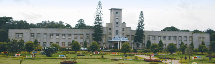 Veterinary Colleges In Karnataka 1