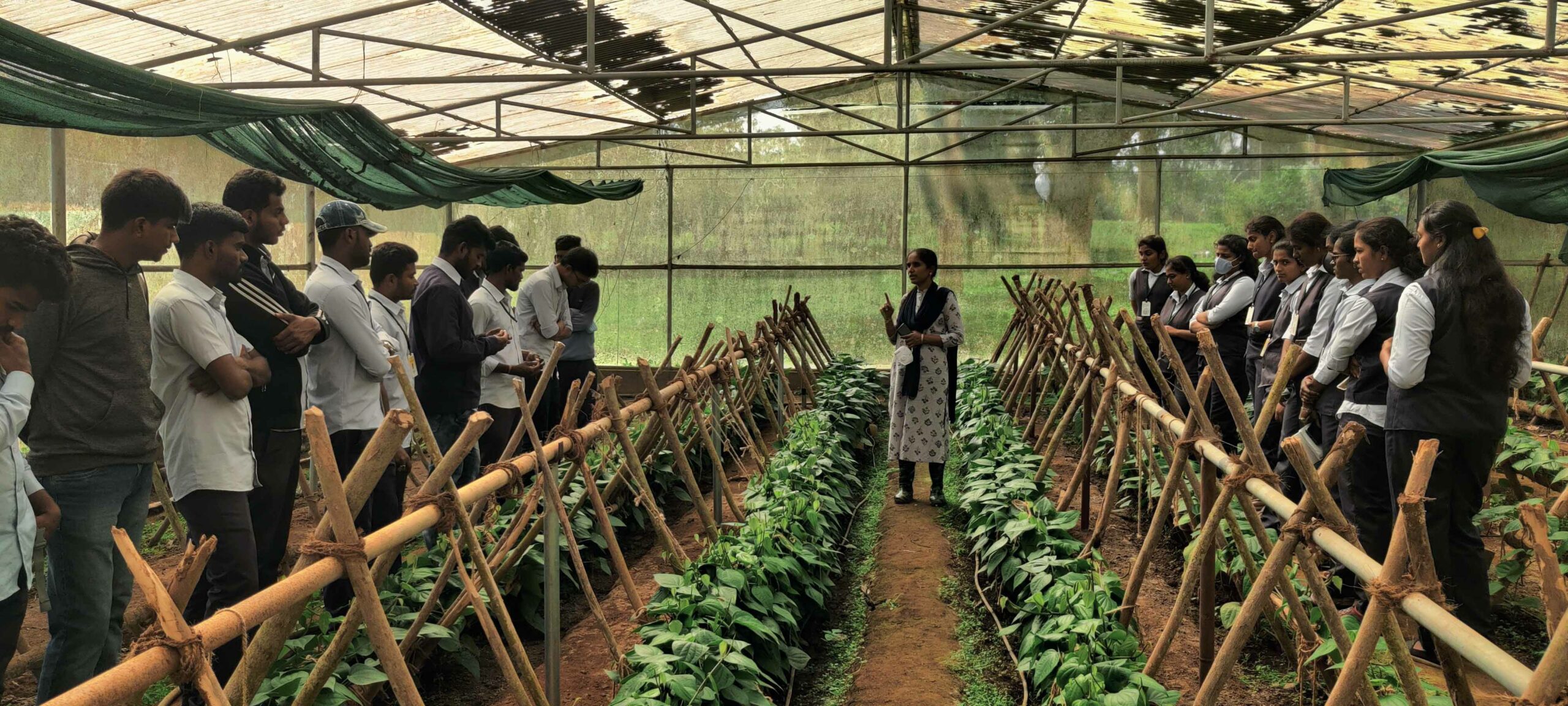 Top 20 BSC Agriculture in Karnataka